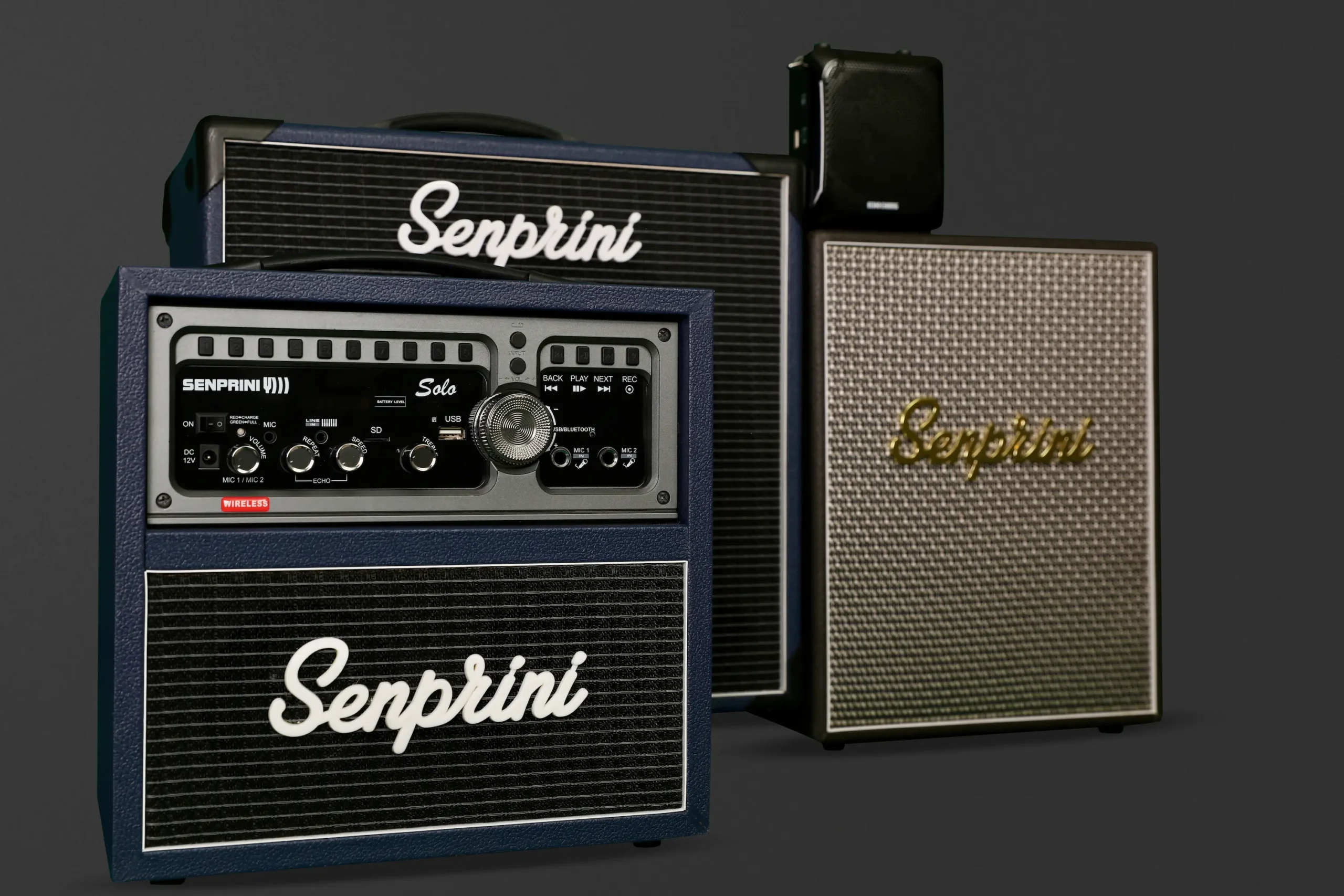 PORTABLE SYSTEMS