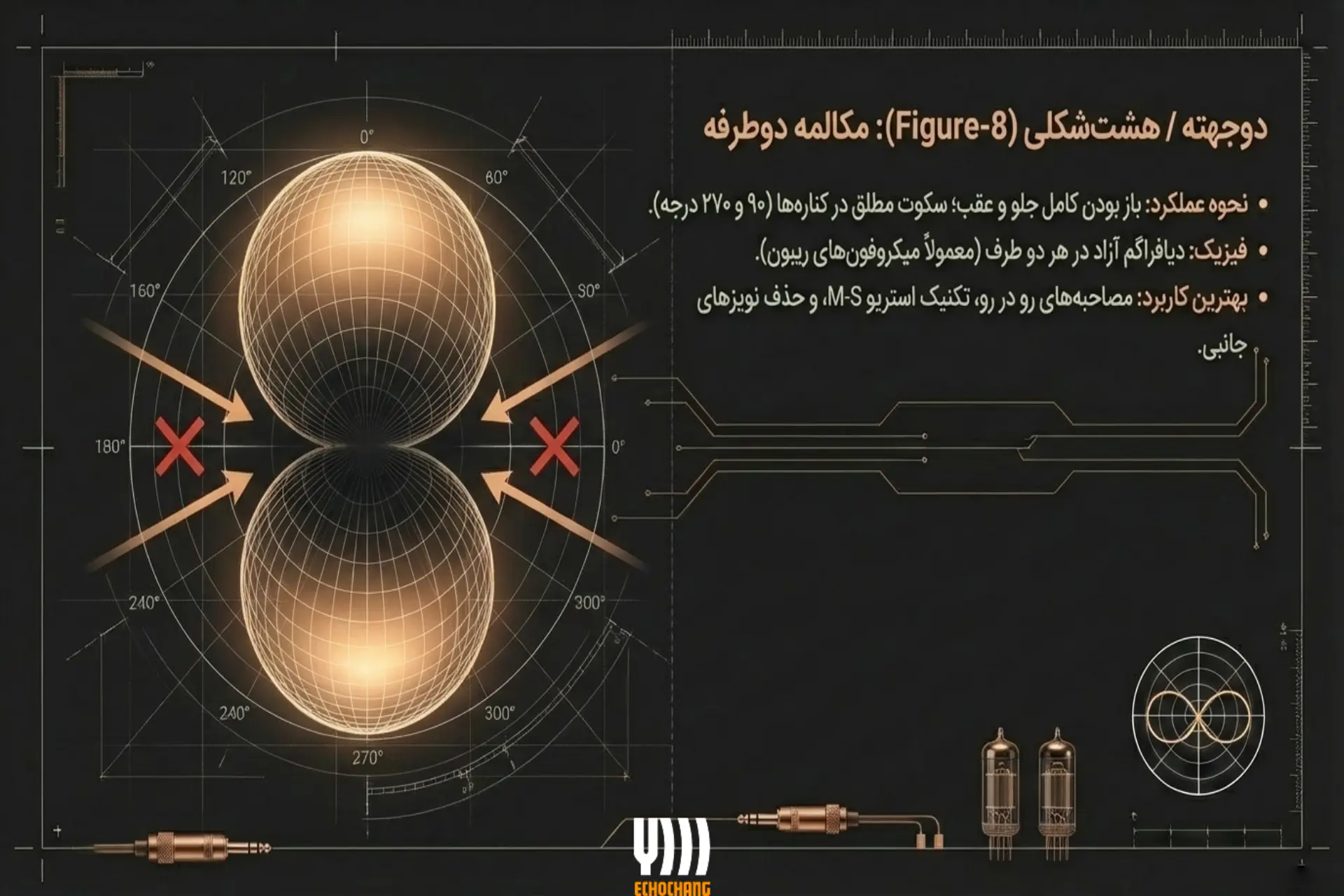 الگوی قطبی دوجهته